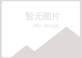 青山区以海水泥有限公司